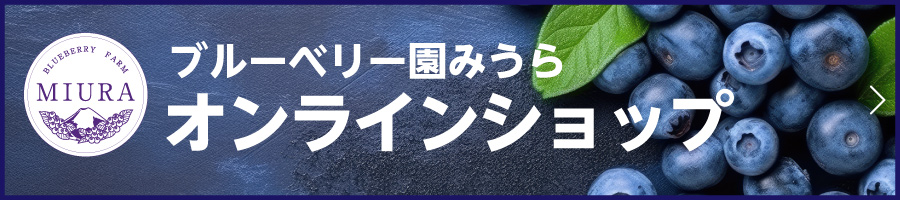 ブルーベリー園みうらネットショップ